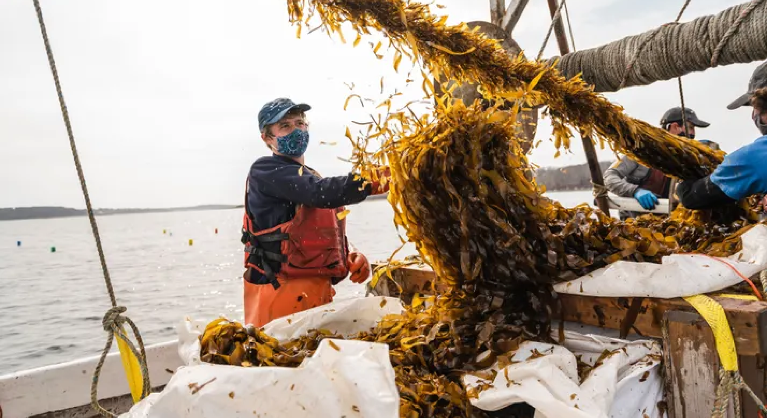 Image of aquaculture worker working on a boat. 